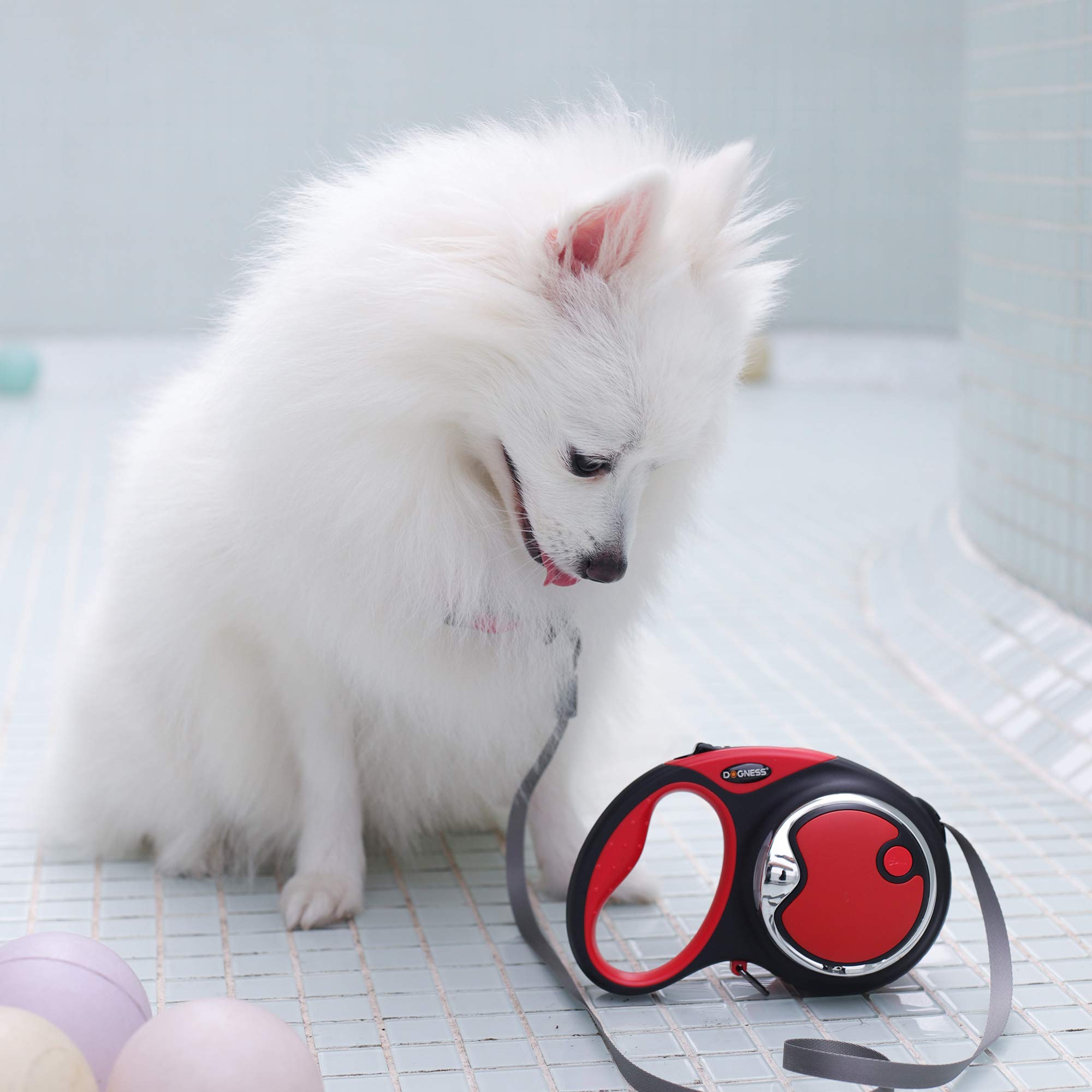 Amazon | Dognessドッグネス リールリードセット 愛犬用リード 伸縮